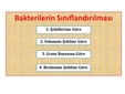Bakterilerin Sınıflandırılması