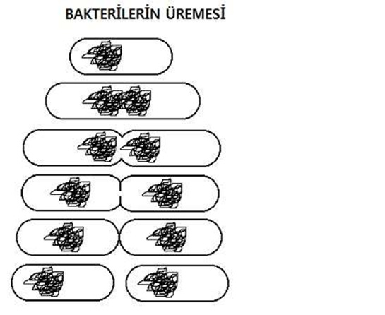 Bakteri remesi